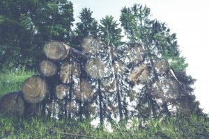 Tannen Wald Holz aus dem Gartenschaukelstühle hergestellt werden